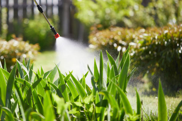 24/7 Emergency Fumigation Services experts in Moroni, UT