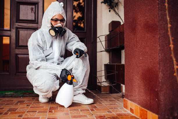Reliable Fumigation Services contractor in Moroni, UT by Nex Pest Control