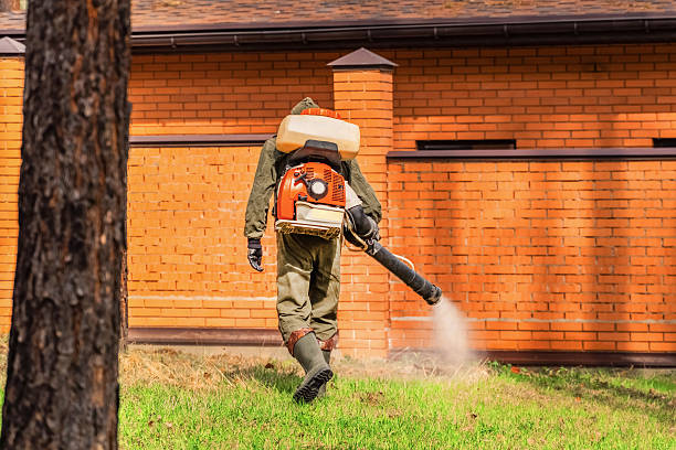 Top rated local Fumigation Services specialists in Moroni, UT